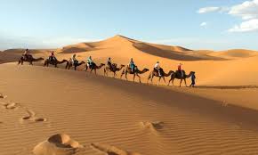 morocco desert tours