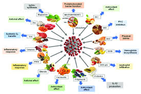 food classes
