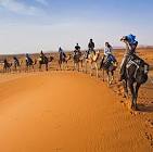 marrakech sahara desert tour