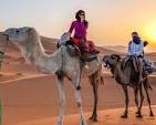 marrakech sahara desert tour 1 day