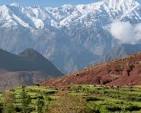 visit atlas mountains from marrakech