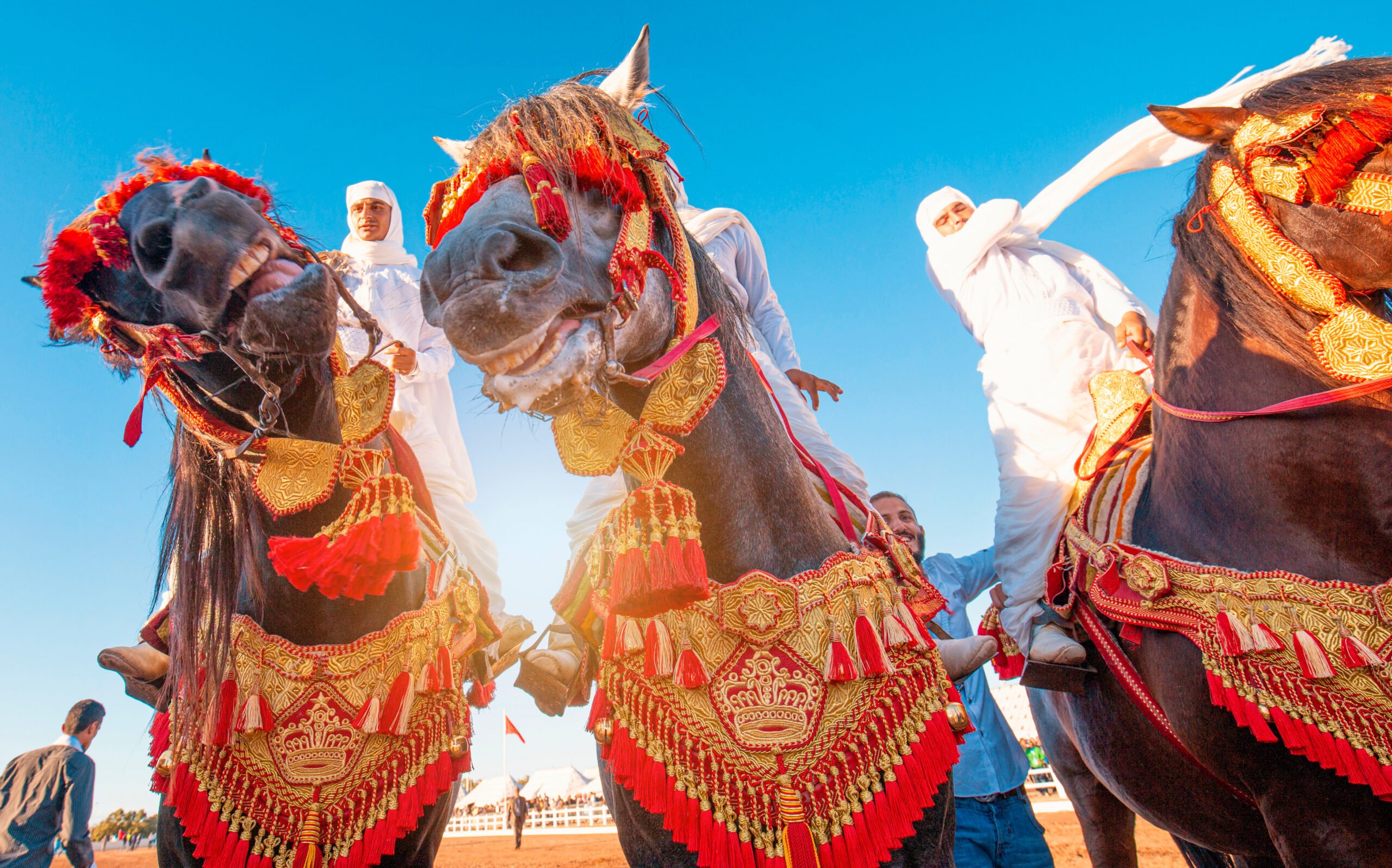 customs and traditions in morocco