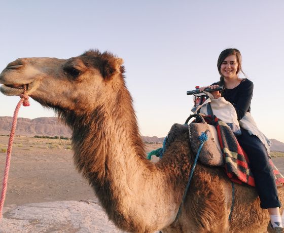 day trip to desert from marrakech