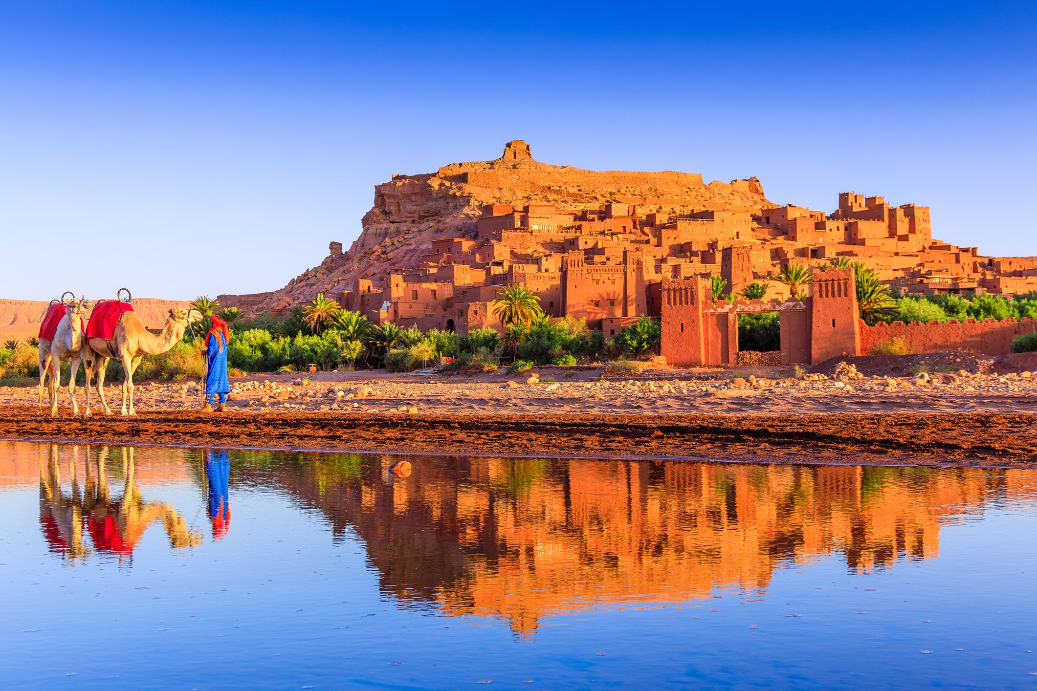 top day trips from marrakech