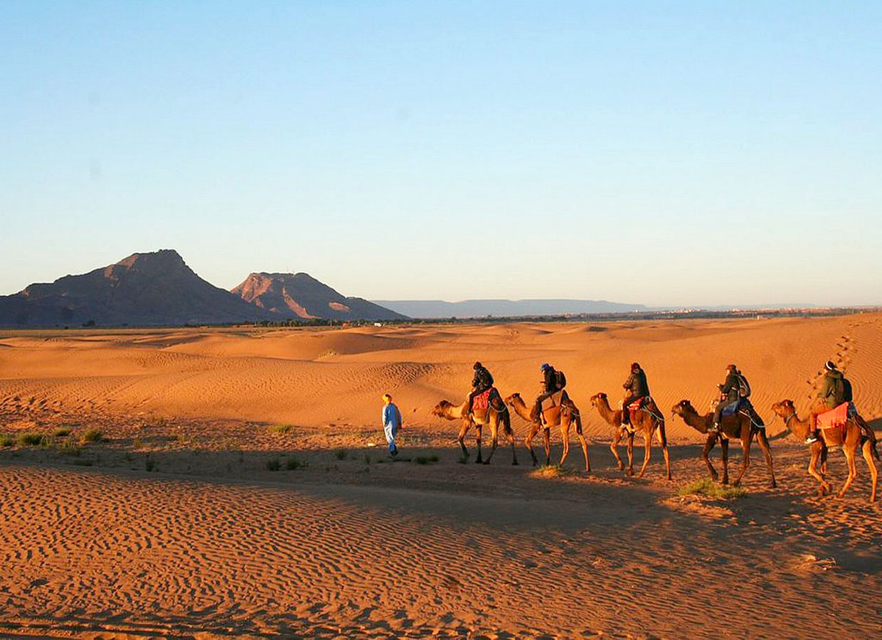 trips to sahara desert from marrakech