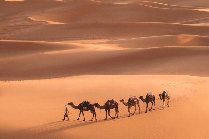 sahara desert tour from fes to marrakech