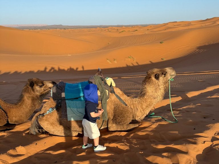 sahara desert tour marrakech to fes