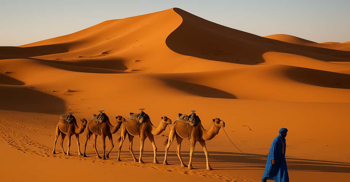 sahara tour from fes to marrakech