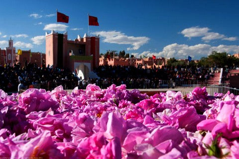 morocco rose festival 2023