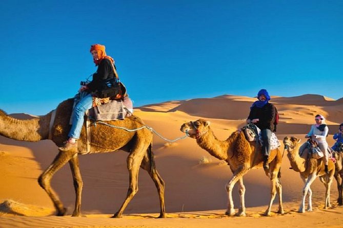 sahara tour fes to marrakech