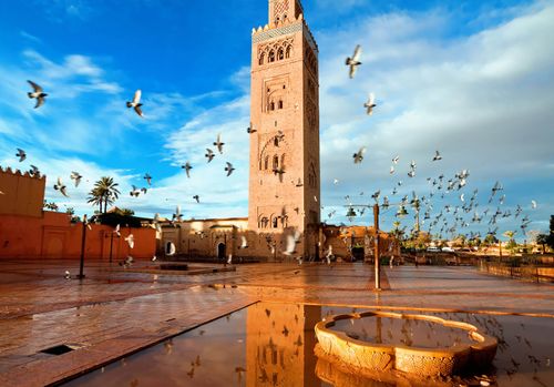 best tourist attractions in marrakech