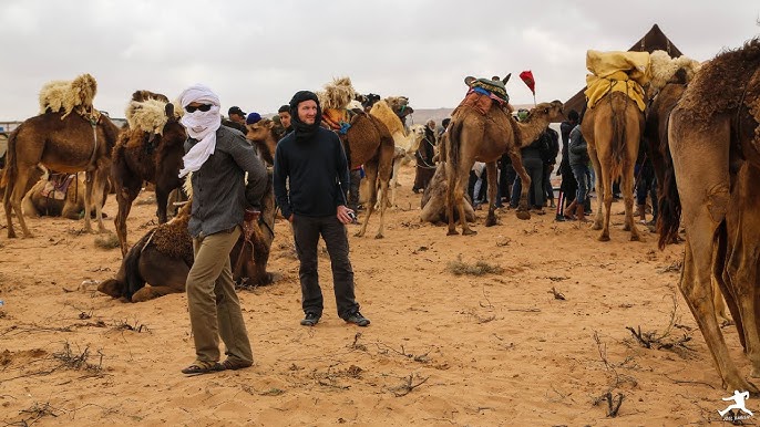 desert festival morocco