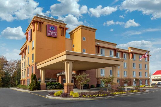cheap hotels in the area